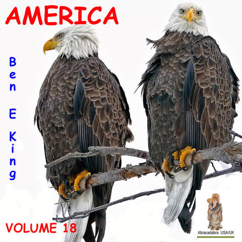 America, Volume 18