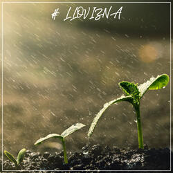 Calming Waters for Meditation