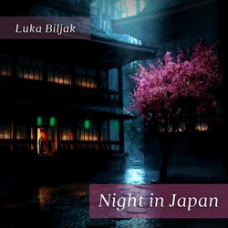 Night In Japan