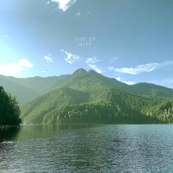 Снежный барс