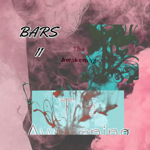 Bars 11