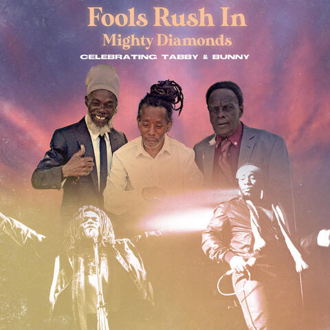 Fools Rush In