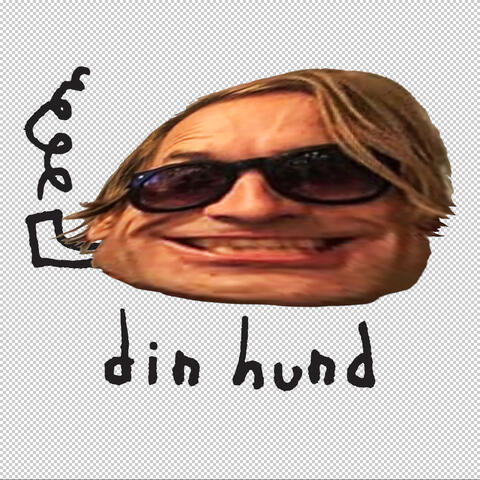 Din hund