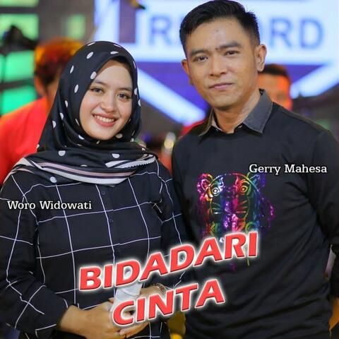 Bidadari Cinta
