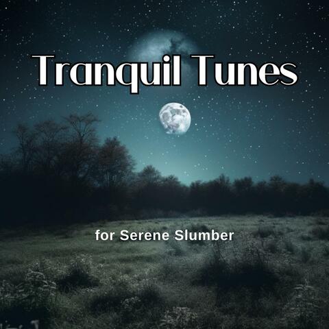 Tranquil Tunes for Serene Slumber
