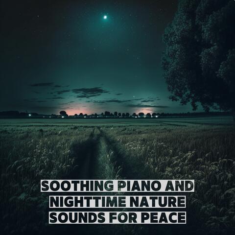 Soothing Piano and Nighttime Nature Sounds for Peace