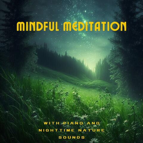 Mindful Meditation with Piano and Nighttime Nature Sounds