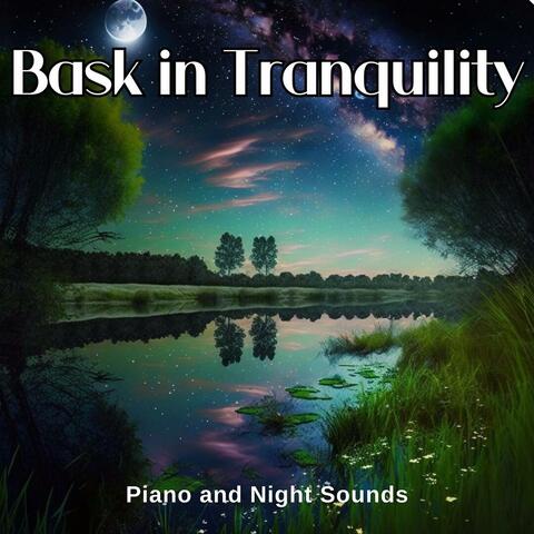 Bask in Tranquility: Piano and Night Sounds