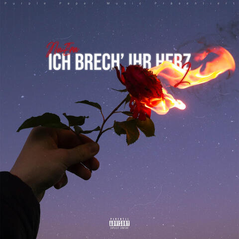 Ich brech' ihr Herz 2
