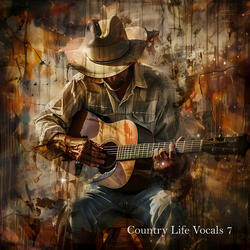 Country Breakup Song