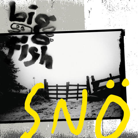 Snö