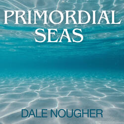 Primordial Seas