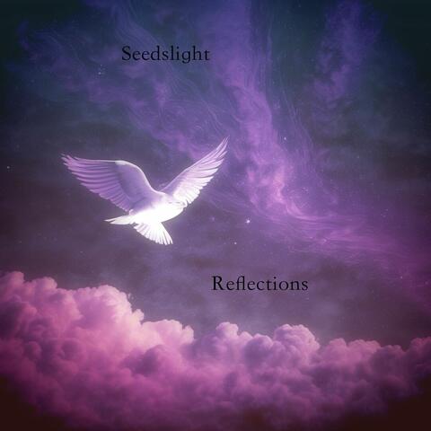 Reflections