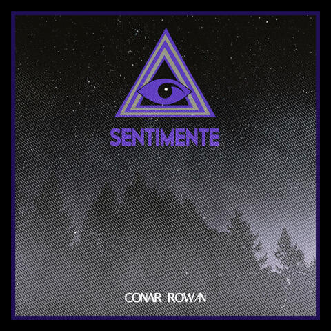Sentimente