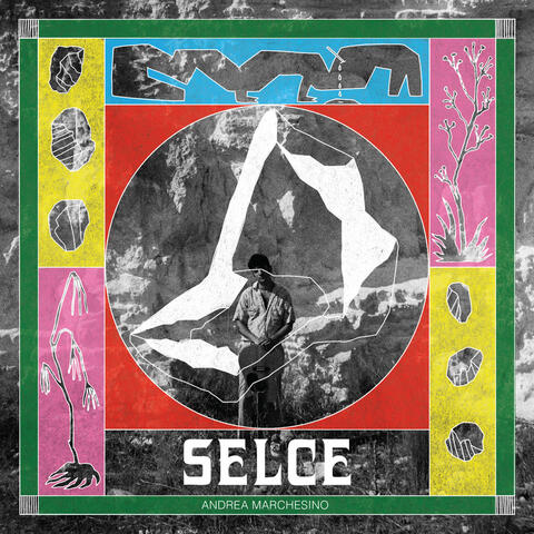 Selce