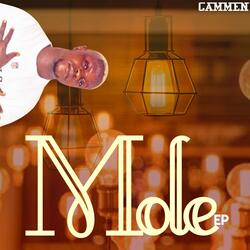 Mole