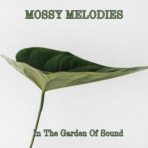 In the Garden of Sound