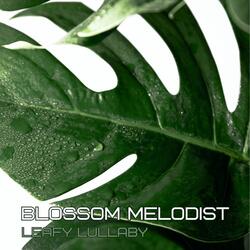 Rainforest Rhythms