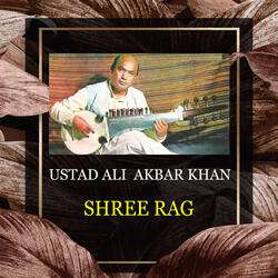 Shree Rag - Gat (Conclusion)