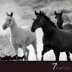 Now Look At What You Started