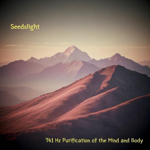 741 Hz Purification of the Mind and Body