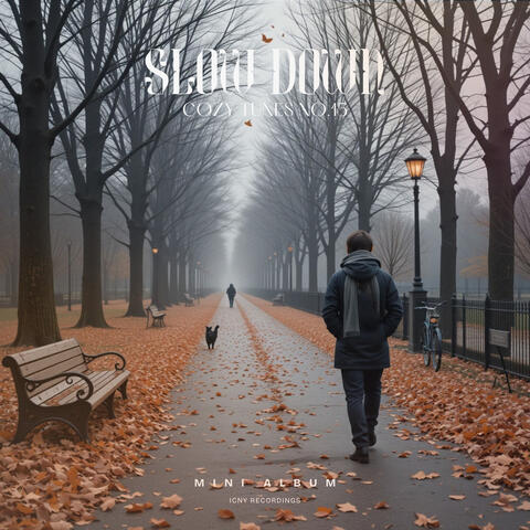 Slow Down. Cozy Tunes No. 15
