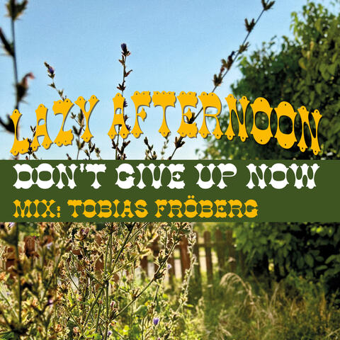 Don't Give up Now