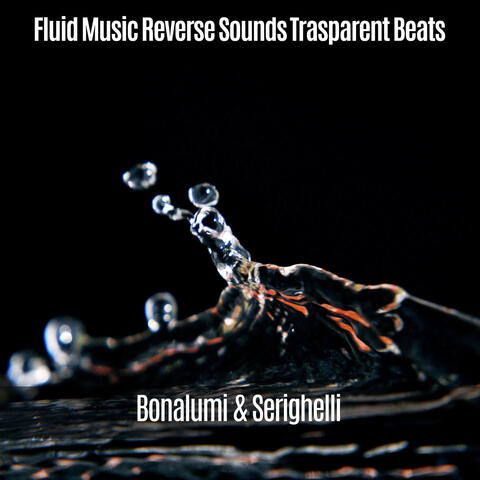 Fluid Music Reverse Sounds Trasparent Beats