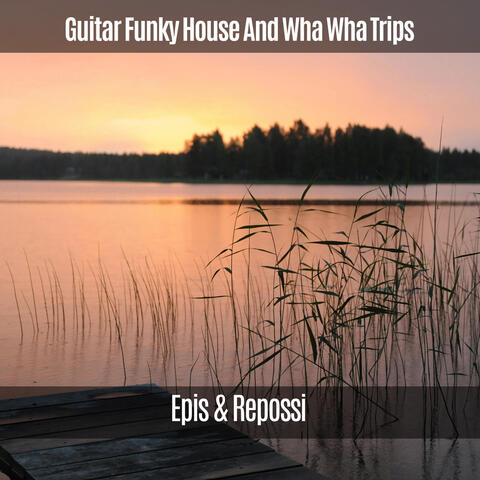 Guitar Funky House and Wha Wha Trips