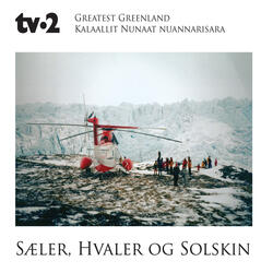 Tikkilluaritsi