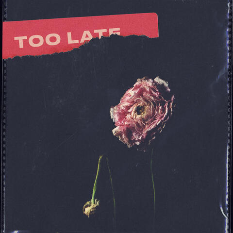 Too Late