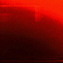 Pensive Reverie X