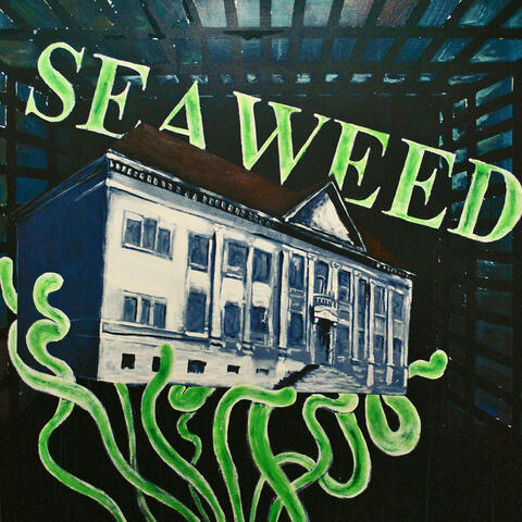 Seaweed