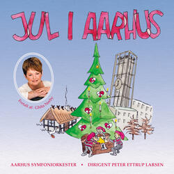 Jeg glæder mig i denne tid