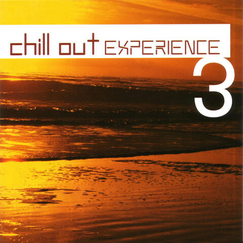 Chill Out Experience 3