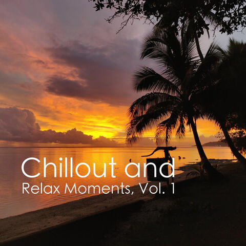 Chillout and Relax Moments, Vol.1