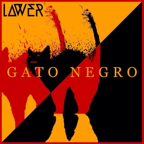 Gato Negro