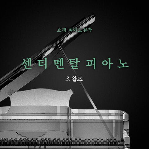 쇼팽 피아노 걸작 3.왈츠