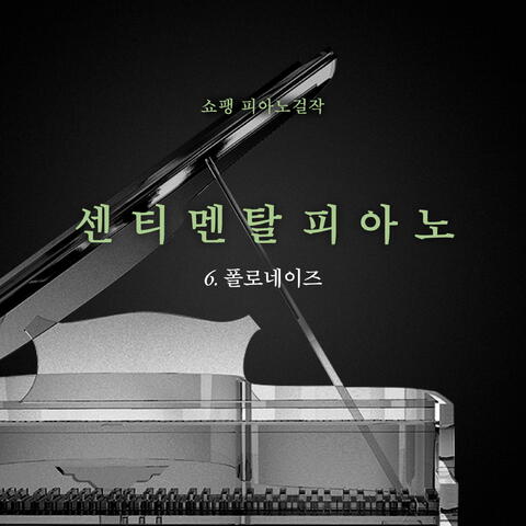 쇼팽 피아노 걸작 6.폴로네이즈