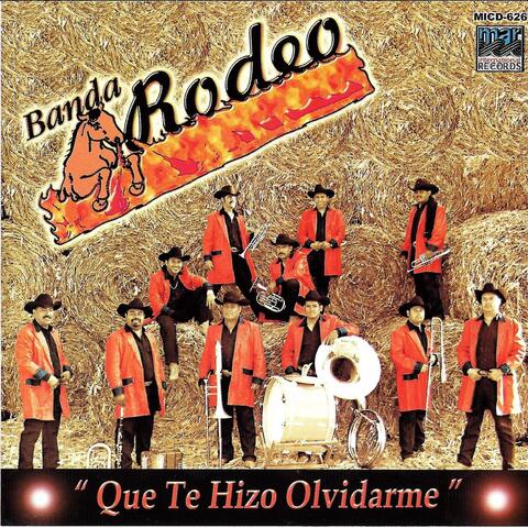Que Te Hizo Olvidarme