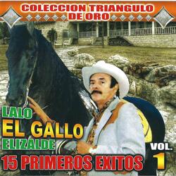 Anda Paloma Dile