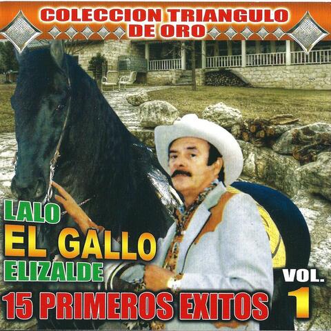 15 Primeros Exitos Vol. 1
