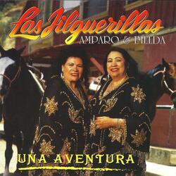 Despedida Con Mariachi