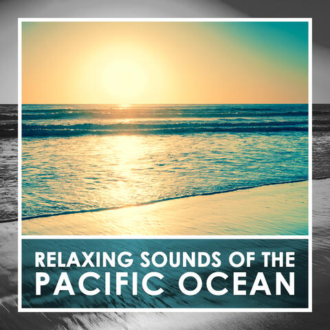 Relaxing Sounds of the Pacific Ocean