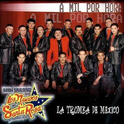 Te Quiero Como A Nadie