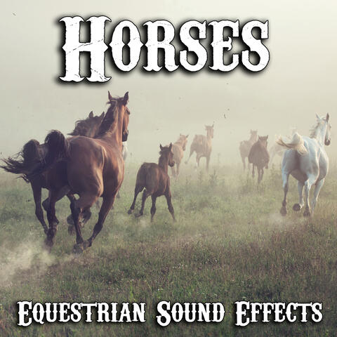 Horses: Equestrian Sound Effects