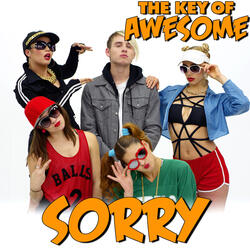 Sorry - Parody of Justin Bieber's "Sorry"