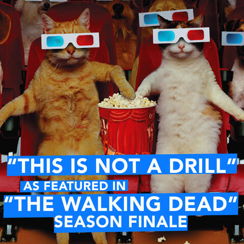 This Is Not a Drill (As Featured in "The Walking Dead" Season Finale)