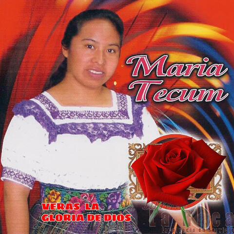 VERAS LA GLORIA DE DIOS