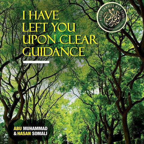 I Have Left You Upon Clear Guidance